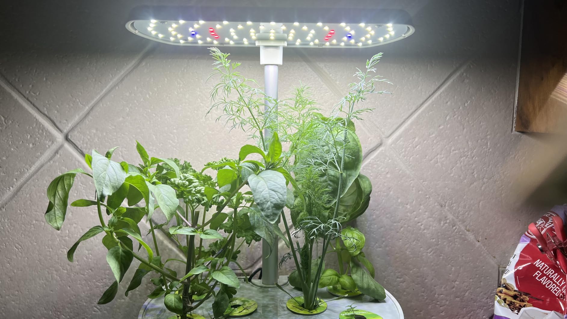 AeroGarden Harvest Elite, Stainless Steel | Indoor Garden with LED Grow Light customer photo 2