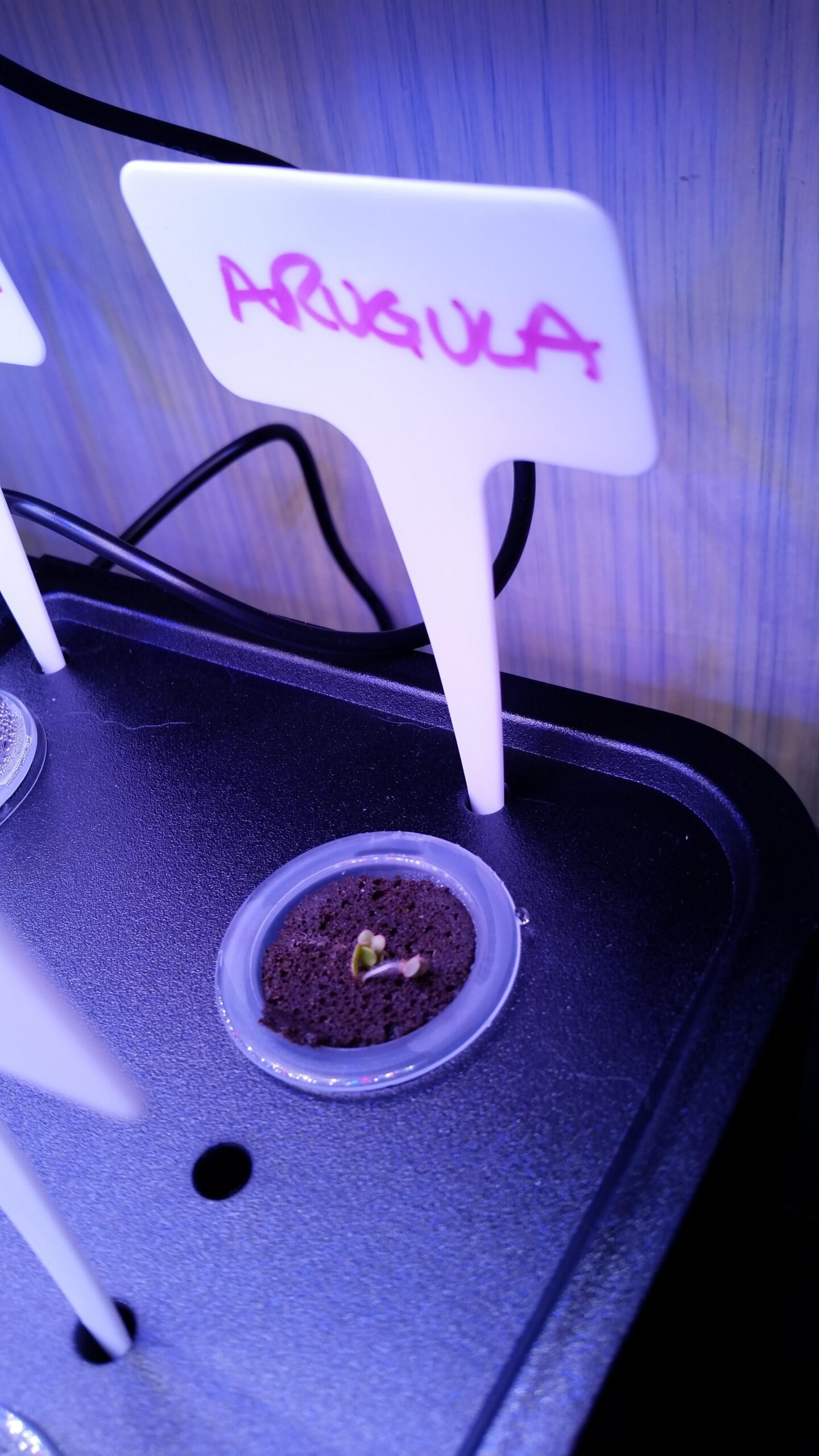 iDOO Hydroponics Growing System Kit 12Pods, Indoor Herb Garden, with LED Grow Light, Built-in Fan, Auto-Timer, Adjustable Height Up to 11.3