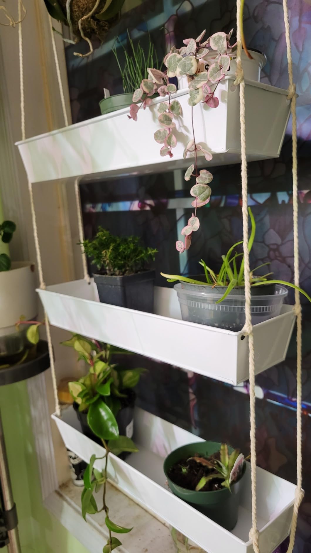 LaLaGreen Hanging Wall Planter - 16 Inch Three Tier Plant Hanger for Succulent Indoor Herb Planter Modern White Boho Metal Wall Plant Holder Decor, Vertical Garden Hanging Planter Shelf Large Outdoor customer photo 1
