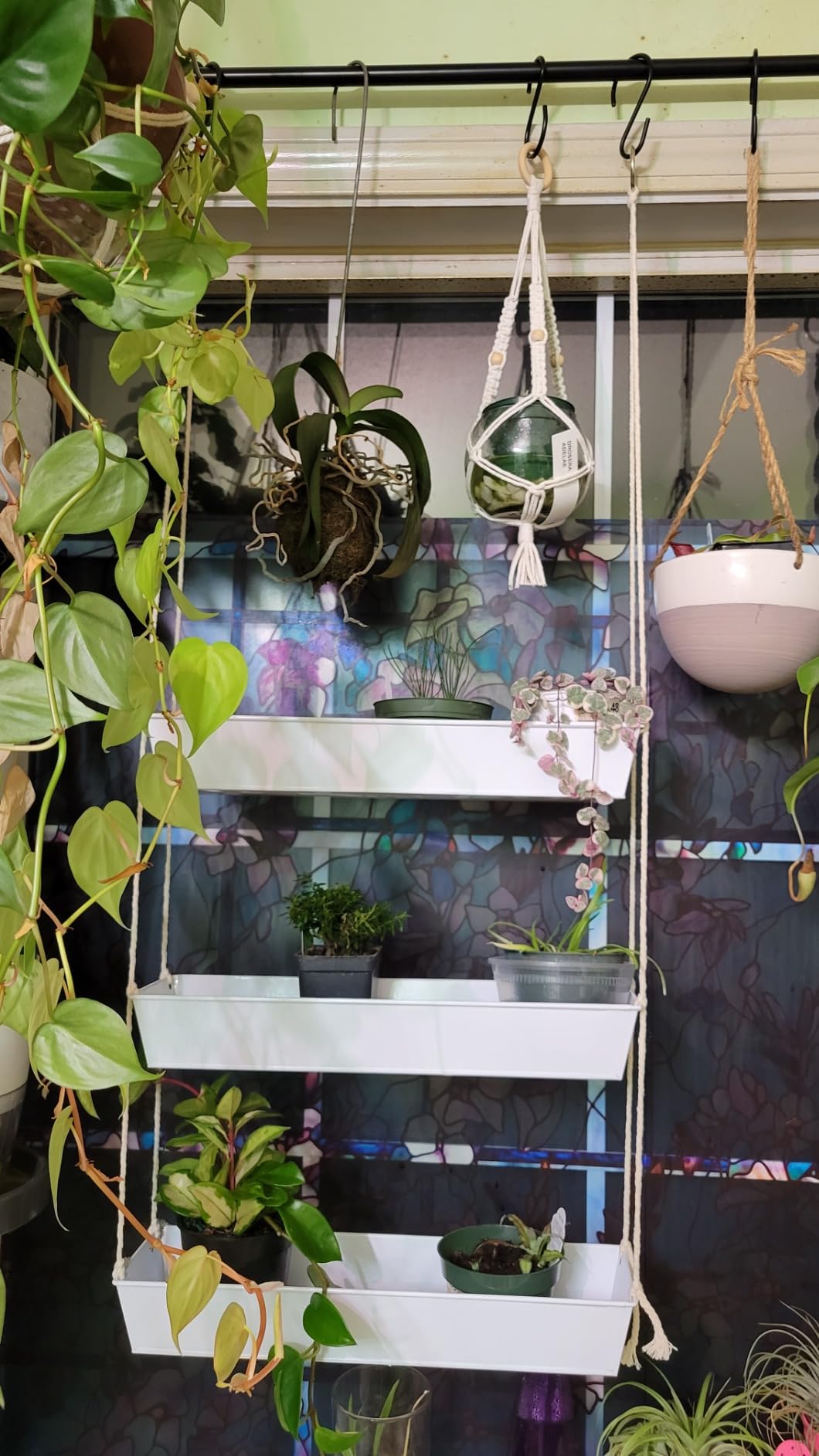 LaLaGreen Hanging Wall Planter - 16 Inch Three Tier Plant Hanger for Succulent Indoor Herb Planter Modern White Boho Metal Wall Plant Holder Decor, Vertical Garden Hanging Planter Shelf Large Outdoor customer photo 2
