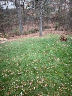 Greenworks 80V (770 CFM / 190 MPH) Brushless Cordless Leaf Blower (Turbo Button, Cruise Control, 28 CC Gas Equivalent), 4.0Ah Battery (320 Wh Max) + Rapid Charger customer photo 1