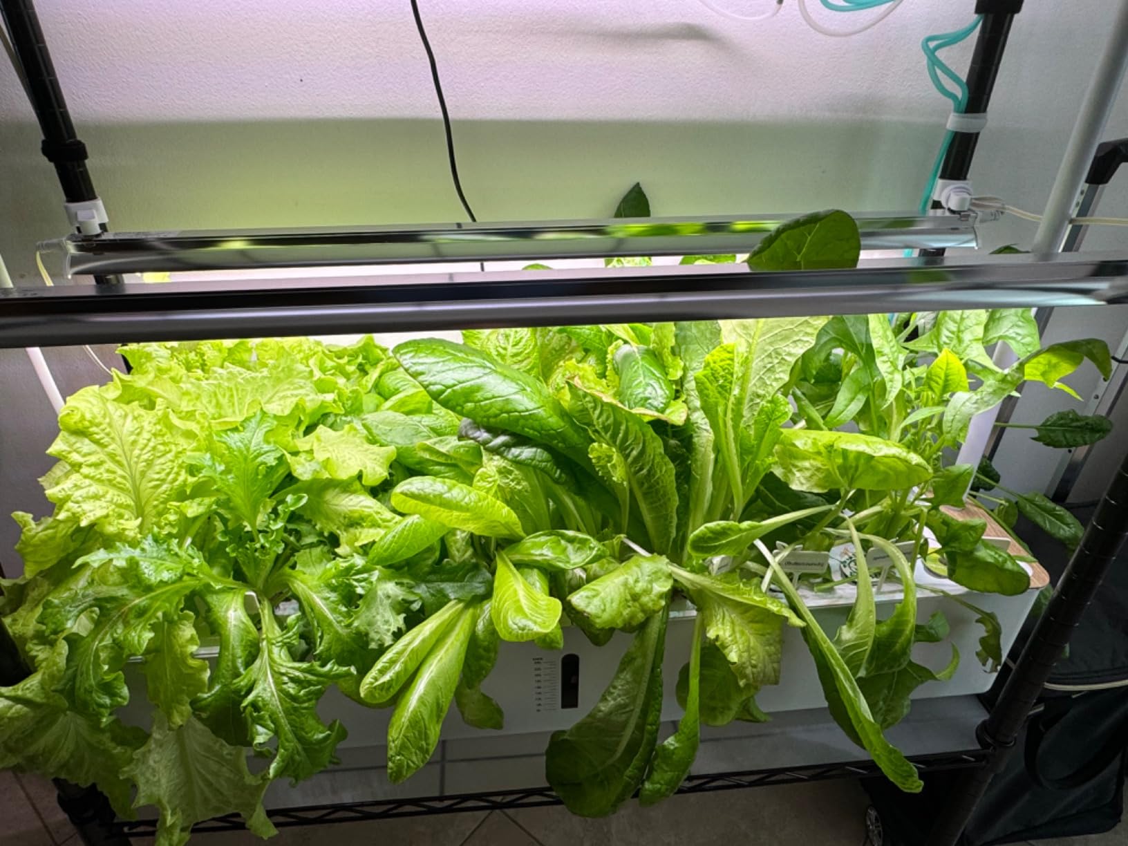 Ahopegarden Hydroponics Growing System Indoor Garden, 44 Pods Plant Herb Garden Germination Kit with LED Grow Light, 20L Double-Layer Large Capacity Hydrophonic Planter Grower for Vegetable Fruit customer photo 2