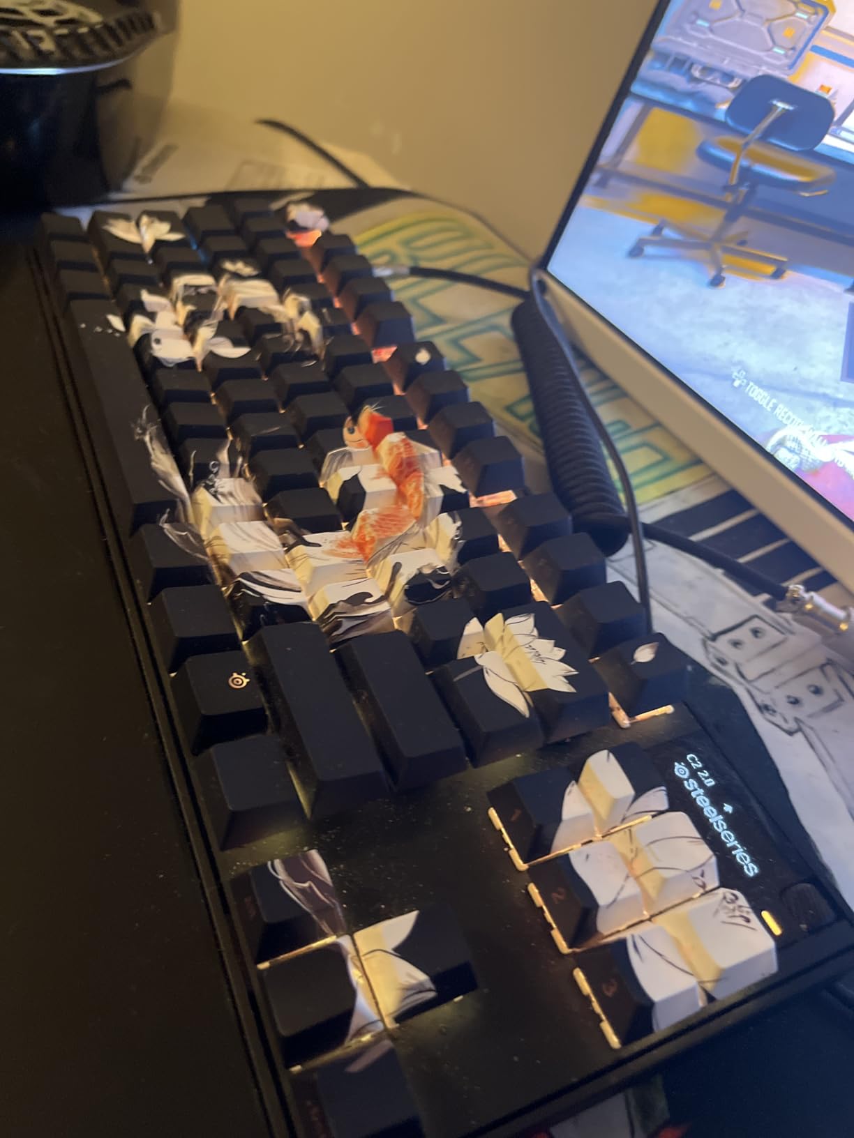 SteelSeries Apex Pro TKL Gen 3 Gaming Keyboard - OmniPoint 3.0 Analog Magnetic Switches, Rapid Trigger, OLED, RGB, PBT Keycaps, USB-C, Black customer photo 1