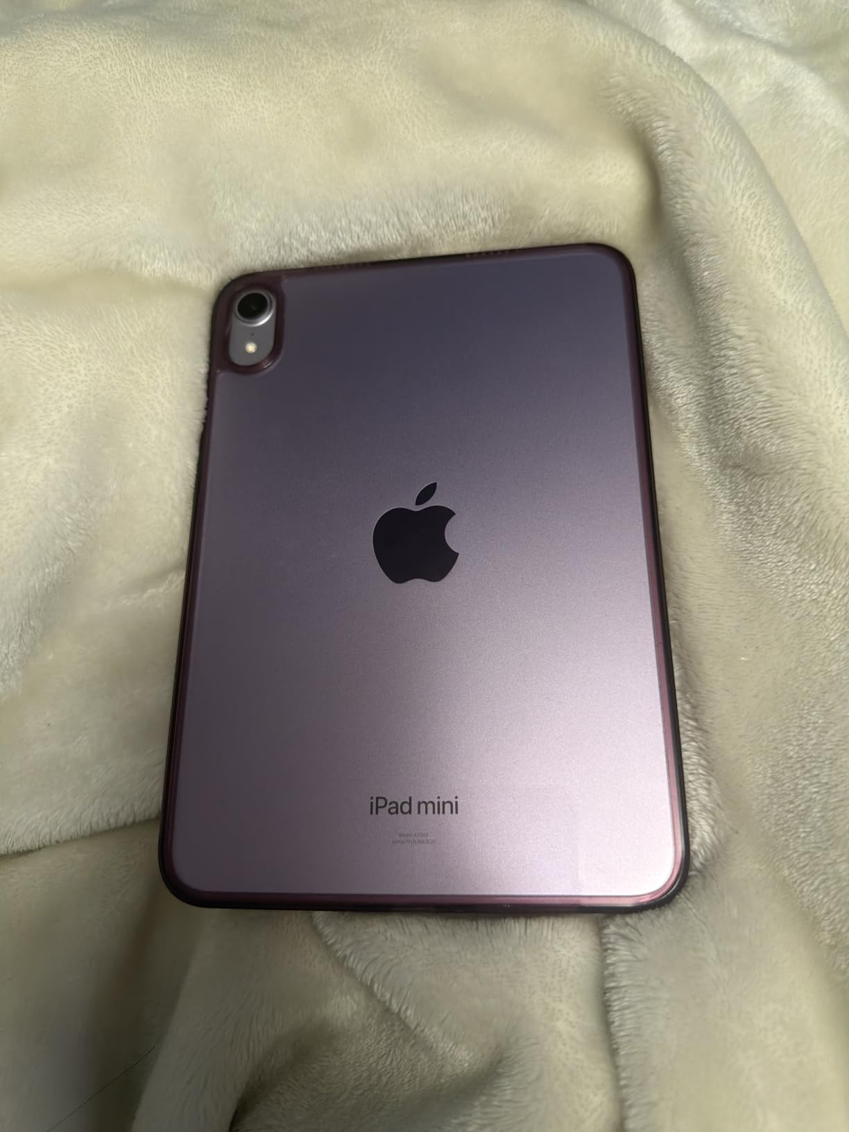 iPad mini (A17 Pro): Apple Intelligence, 8.3-inch Liquid Retina Display, 128GB, Wi-Fi 6E, 12MP Front/12MP Back Camera, Touch ID, All-Day Battery Life - Blue customer photo 1