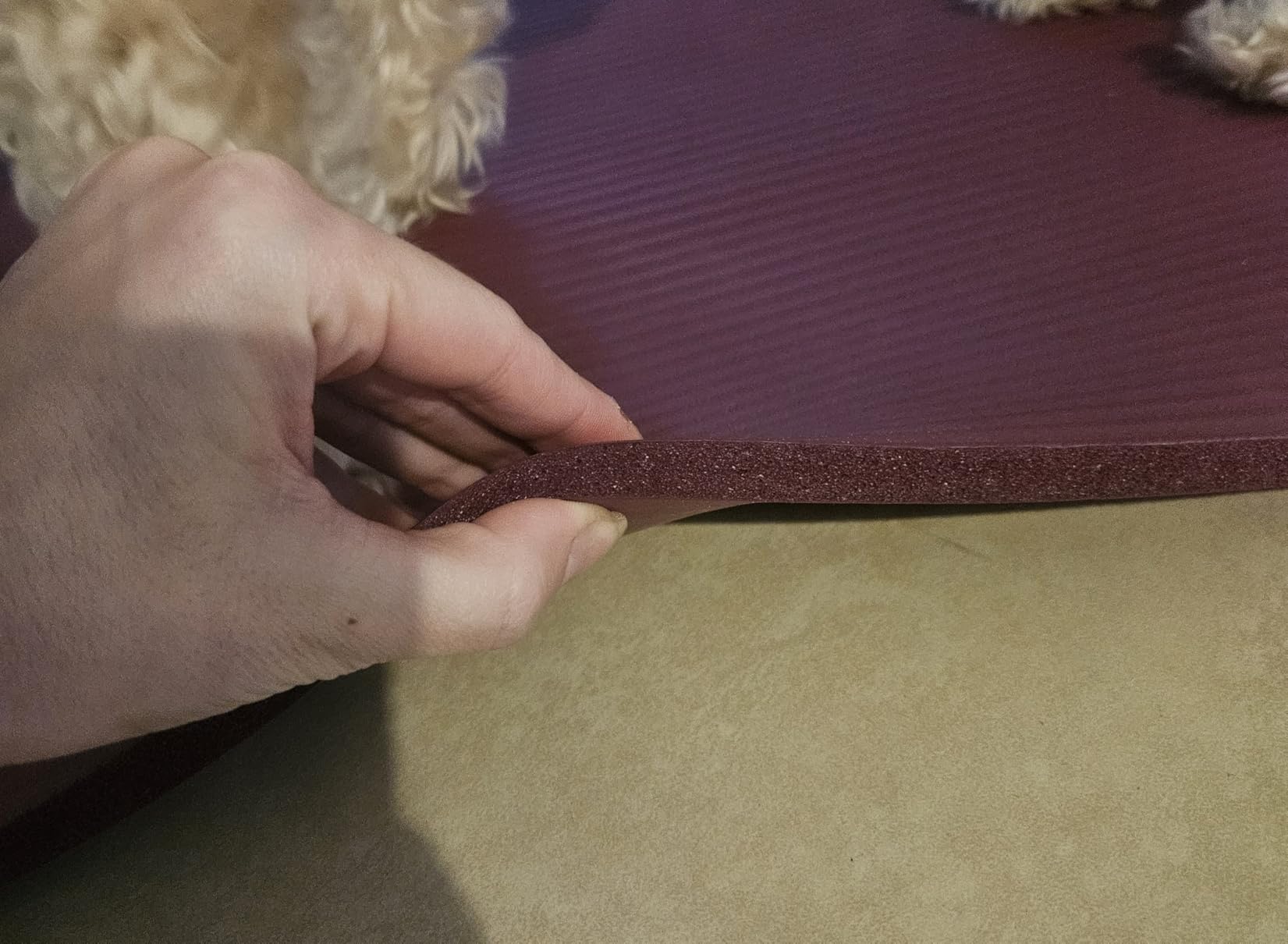 Fitvids Yoga Mat, 1/2-Inch Extra Thick High Density Exercise Mat, Anti-Tear Exercise Yoga Mat with Carrying Strap, Suitable for Various Yoga Exercises customer photo 1