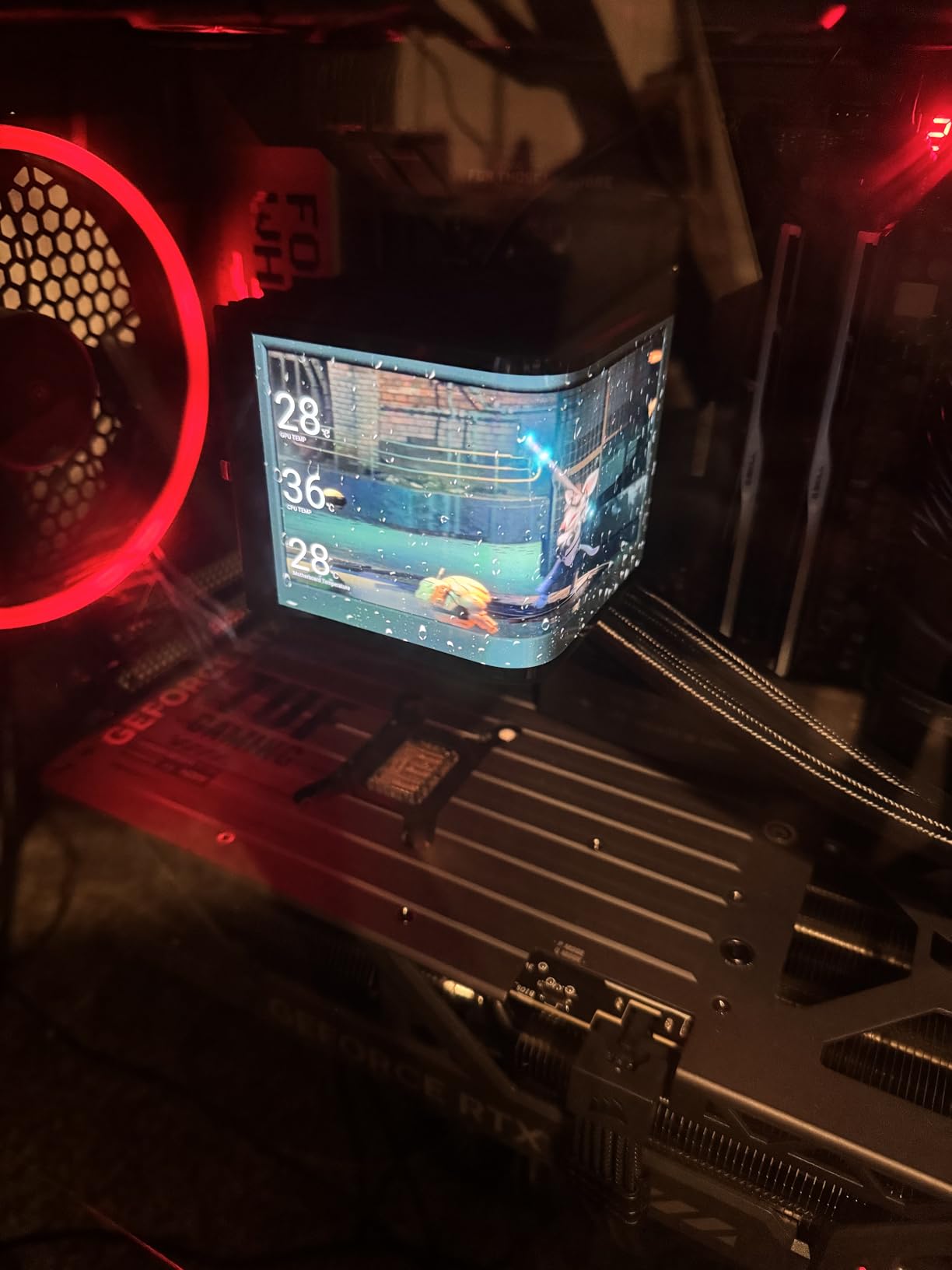 TUF Gaming GeForce RTX 5080 16GB GDDR7 OC Edition Graphics Card customer photo 2
