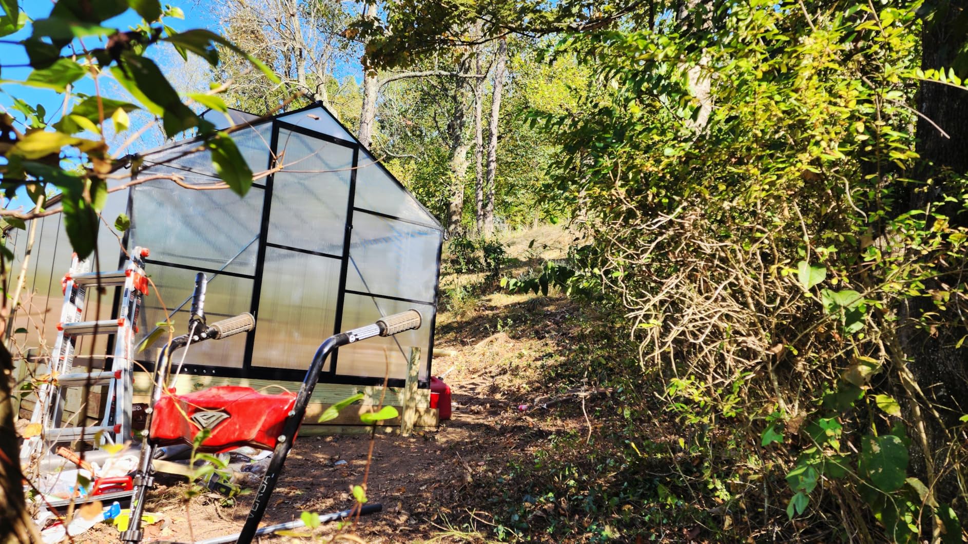 6x4FT Greenhouse with Hygrometer, Heavy Duty Aluminum Frame Polycarbonate Green House with Vent Window, Waterproof Windproof Warm Plant Greenhouses for Backyard Garden Vegetables Flowers Herbs Growing customer photo 2