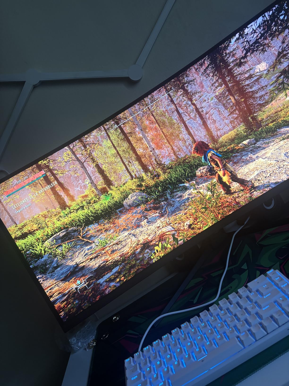 GIGABYTE GeForce RTX 5070 WINDFORCE OC SFF 12G customer photo 1
