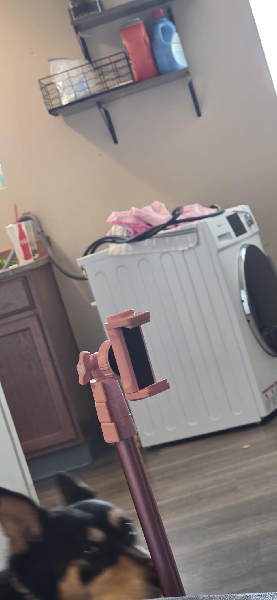 Washer and Dryer Combo, 120V All In One Ventless Compact 2.7 Cu.ft 24 Inch Large Capacity customer photo 1