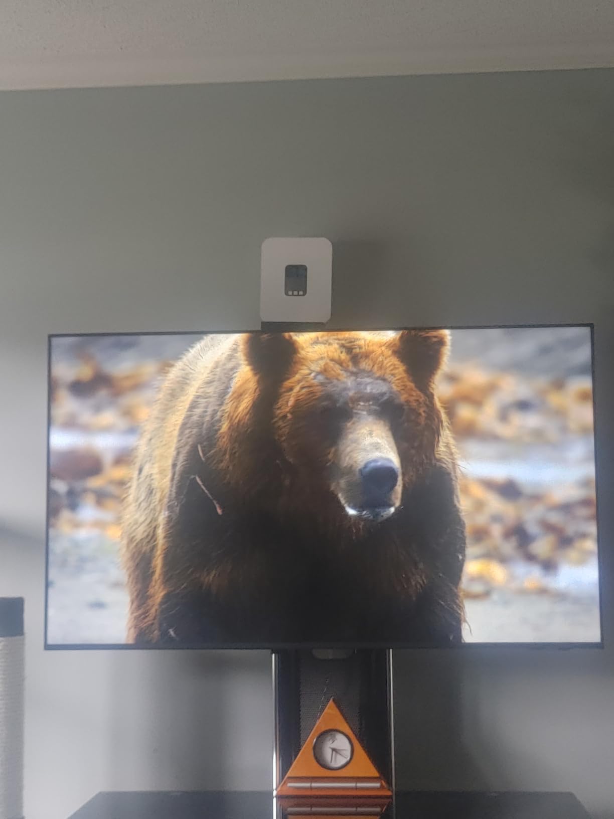 Samsung 43-Inch Class Crystal UHD U8000F 4K Smart TV (2025 Model) Endless Free Content, Crystal Processor 4K, MetalStream Design, Knox Security, Alexa Built-in customer photo 2
