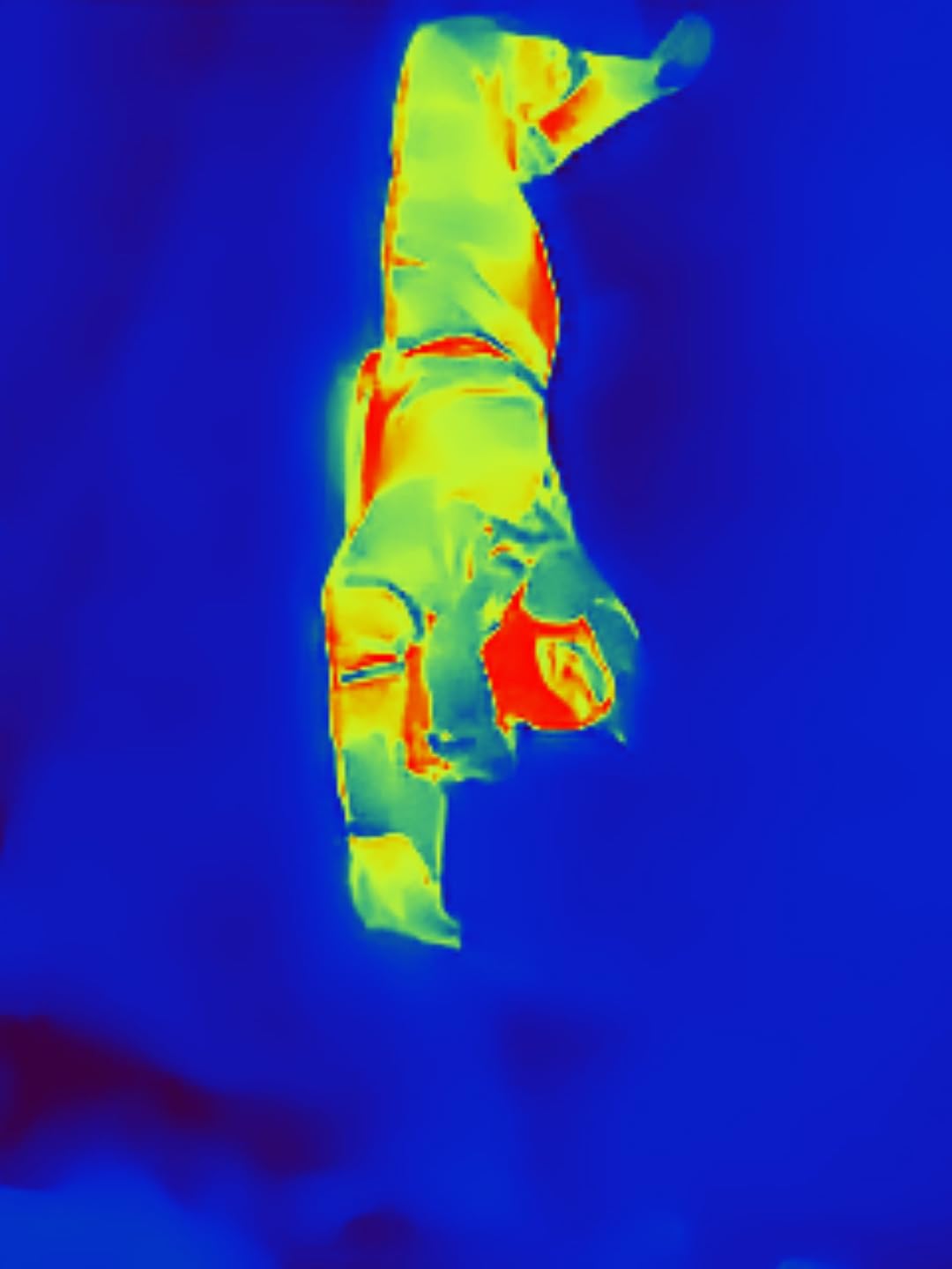 Thermal Master Thermal Camera for USB-C iPhone and Android, P1 Thermal Imaging Camera with 320x240 X3 IR Resolution customer photo 1