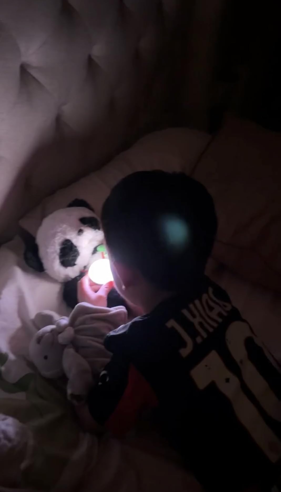 Smart AI Plush Toy Panda, Interactive Stuffed Animal for 3+ Kids, Screen-Free Educational Emo Robot with Advanced AI, APP with 16 Characters, Unique Gifts for Girls & Boys. Bedtime Companion customer photo 2