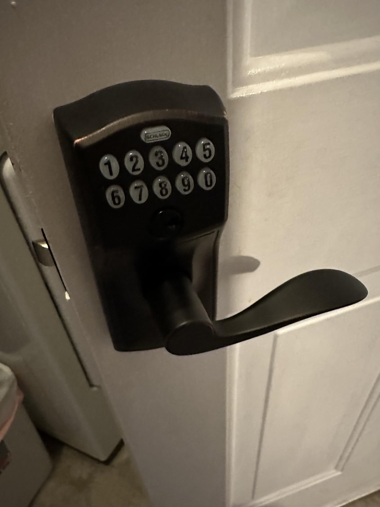 Schlage Electronic Keypad Lock, Lever Handle, Camelot Trim, Satin Chrome | Keypad door lock with handle, Keyless entry, Push button keypad, Auto-lock enabled, Certified security, Easy install, FE575 customer photo 2