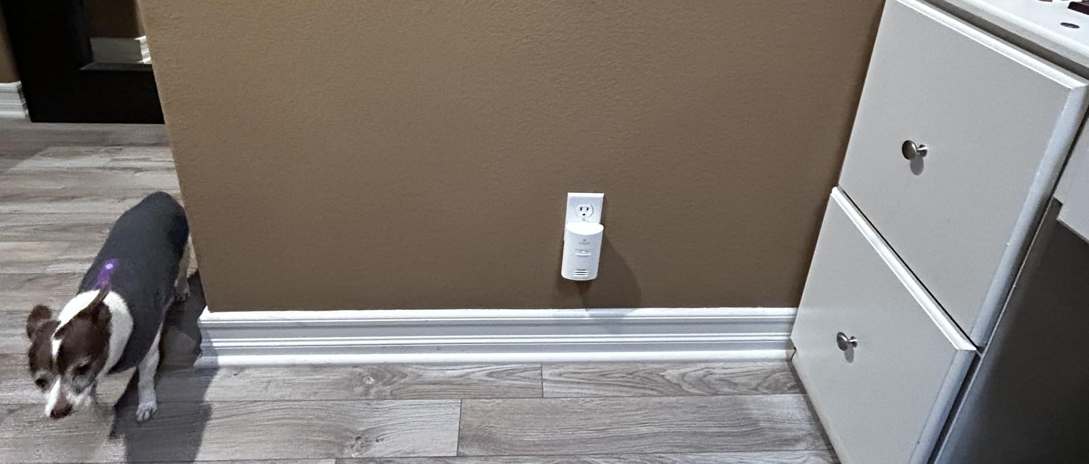 Kidde Carbon Monoxide Detector, Plug-in Wall with AA Battery Backup, Test-Hush Button customer photo 2