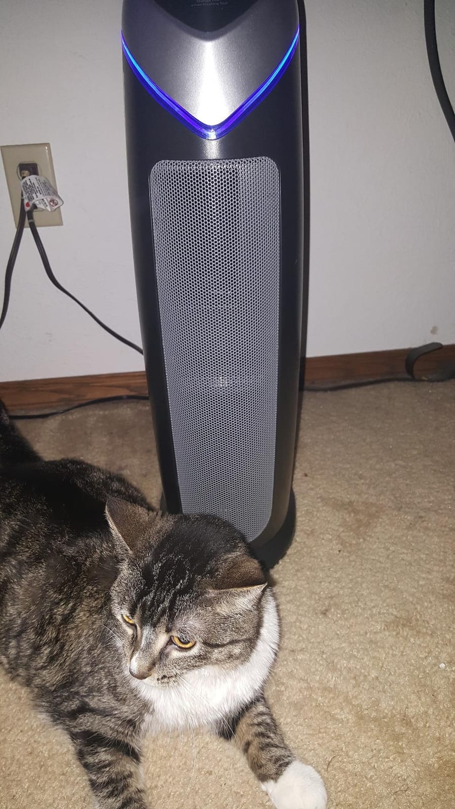 GermGuardian HEPA Air Purifier - Large Room Air Purifier for Bedroom, Office, Dorm, and Home - Filters Pet Dander, Dust, Pollen, Smoke, Scents - AC4825W - 22