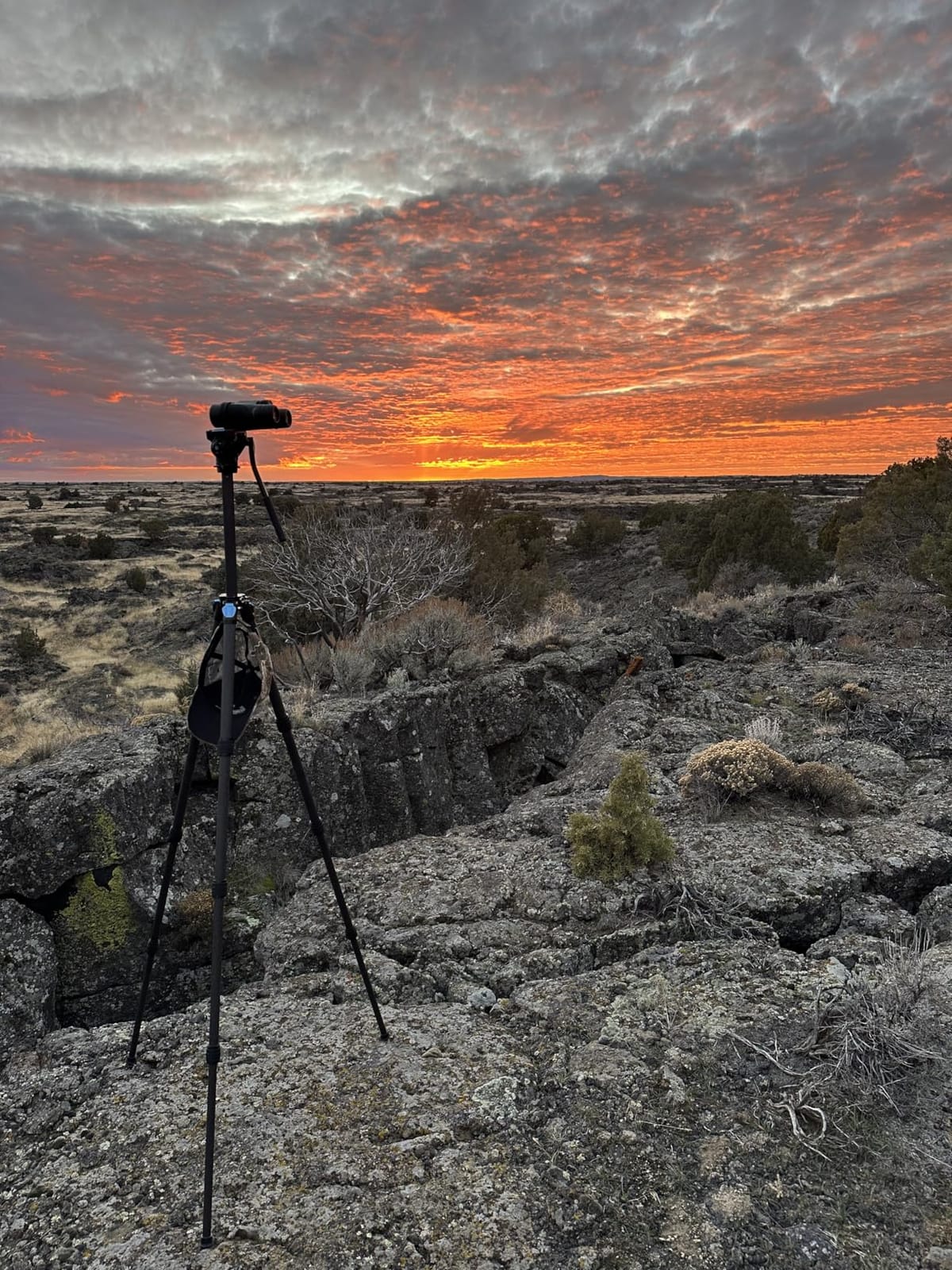 Sirui ST-124+VA-5 Carbon Fiber Tripod with Fluid Video Head, Triangular Centre Column, Waterproof, 4 Sections, 62.2inch, Load 6.61lbs customer photo 1