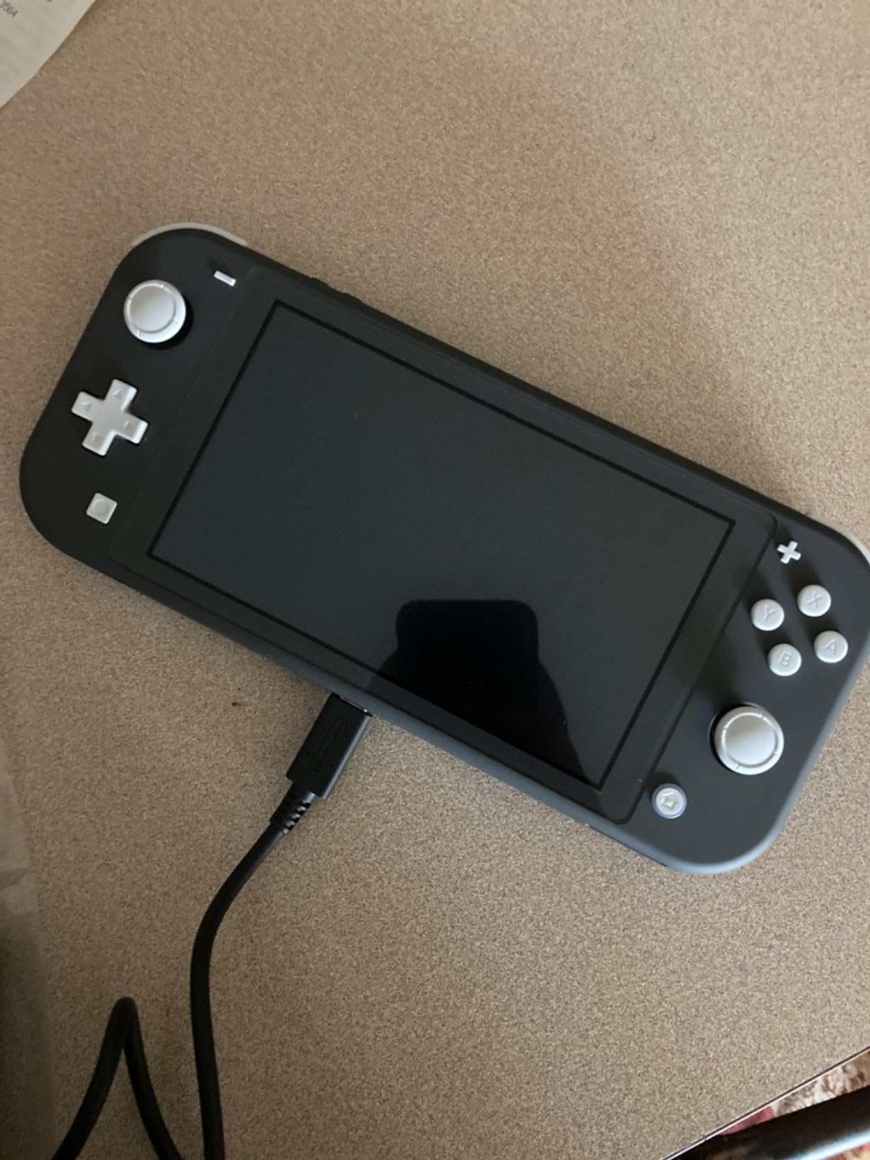 Nintendo Switch Lite - Gray customer photo 1