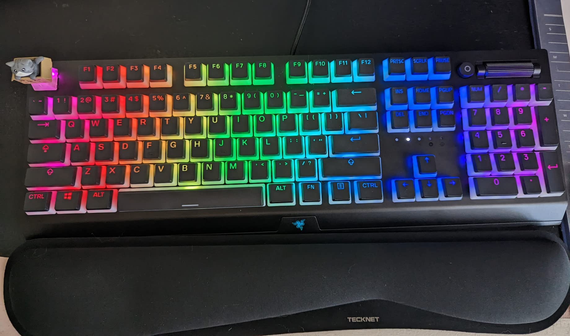 Razer BlackWidow V3 Mechanical Gaming Keyboard, Green Mechanical, Quartz | Tactile & Clicky, Chroma RGB Lighting, Compact Form Factor, Programmable Macro Functionality customer photo 1