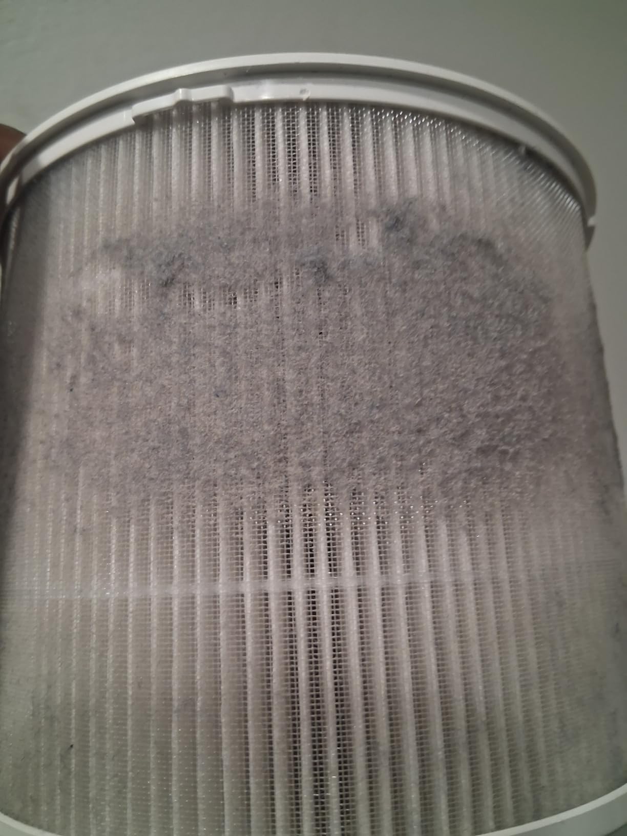 Clorox Small Room Air Purifiers for Bedroom Home, True HEPA Filter | 200 Sq Ft | Reduces 99.9% of Mold, Viruses, Wildfire Smoke, Allergens, Pet Allergies, Dust | Auto Mode | Whisper Quiet customer photo 2