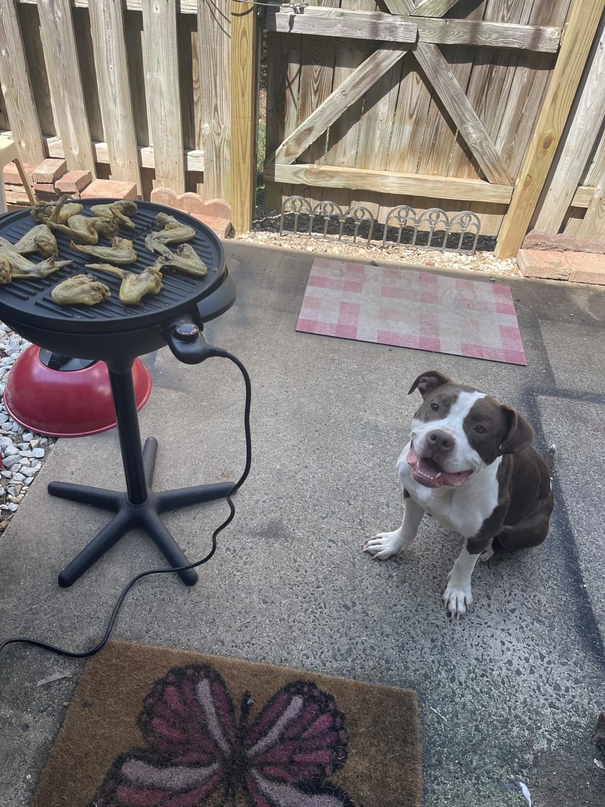 Cuisinart Electric Grill, Indoor/Outdoor, Compact, Portable, Nonstick, 2-in-1 indoor grill and outdoor grill with adjustable heat and stand tabletop options, CEG-115 customer photo 1