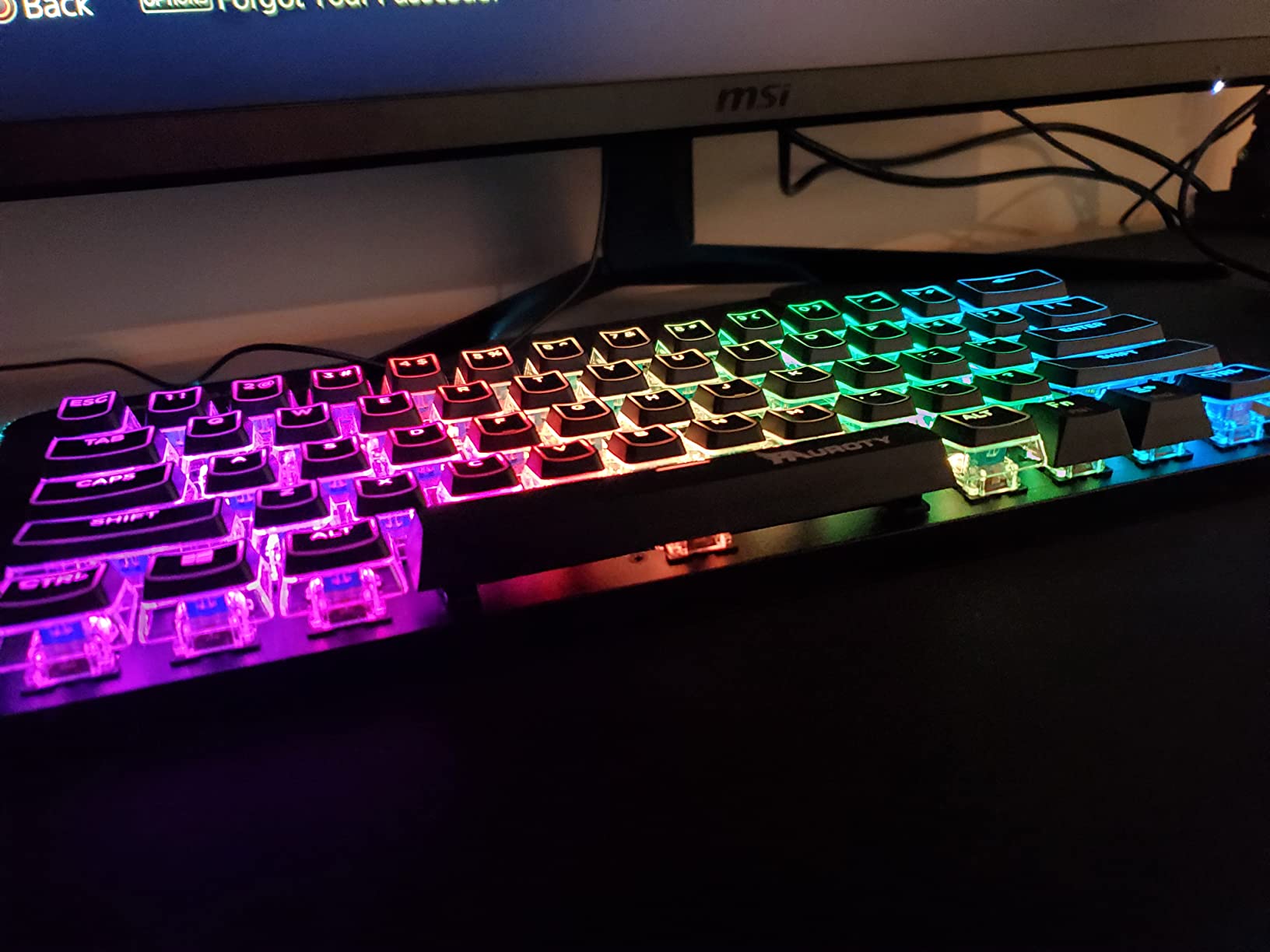 Pauroty 60% Wireless Mechanical Gaming Keyboard, Clicky Blue Switch RGB Backlit | Triple Mode 2.4G/USB-C/Bluetooth, 61 Keys Rechargeable Mini Keyboard for iPad Mac PC Xbox customer photo 2