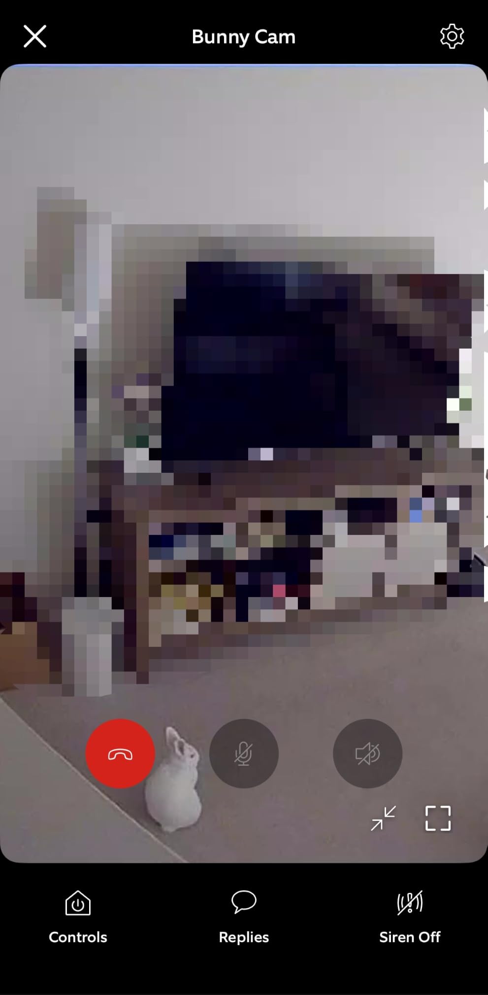 Ring Indoor Cam (newest model) - Home or business security in 1080p HD video, Black customer photo 1