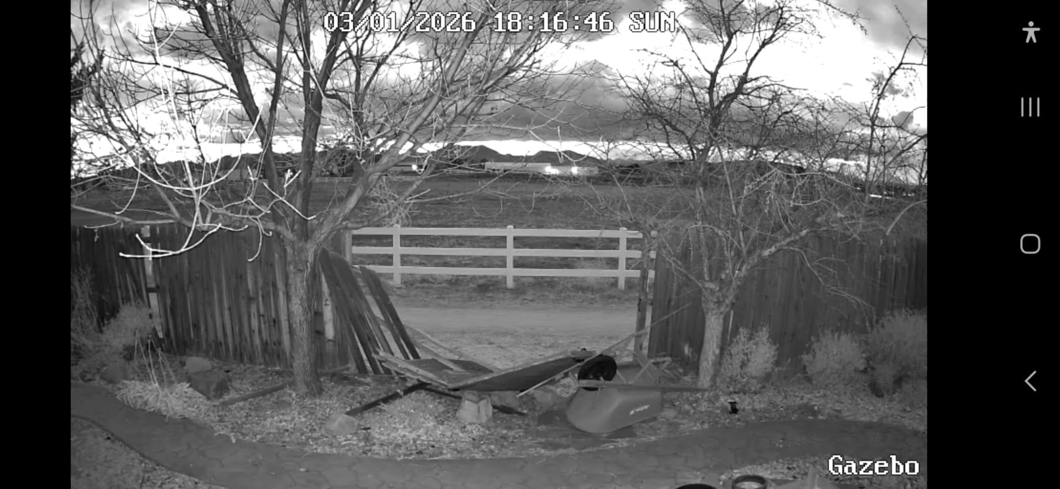 REOLINK Argus PT Ultra 4K Solar Security Cameras Wireless Outdoor customer photo 1