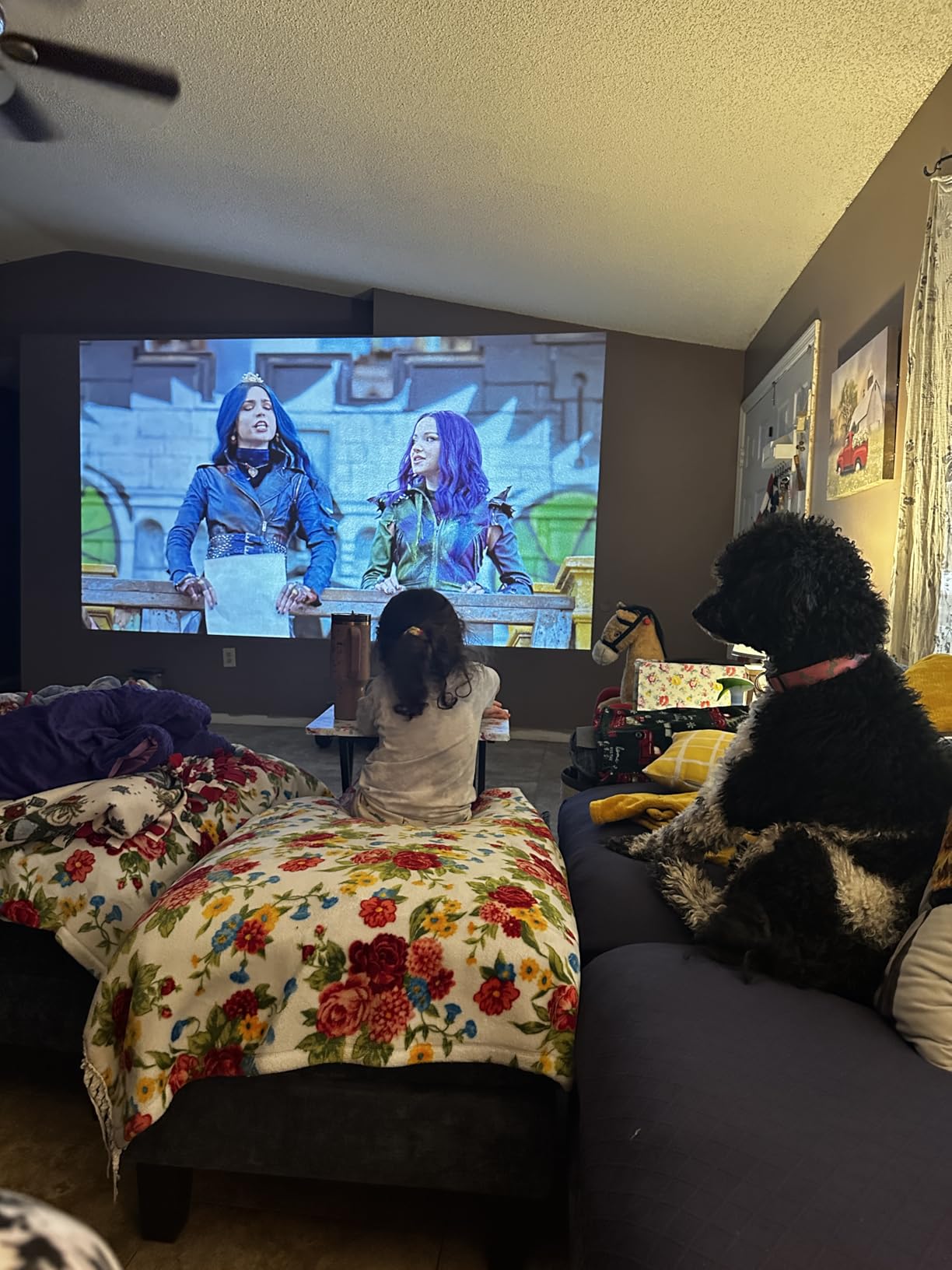 ViewSonic PA503HD 4000 Lumens 1080p Full HD DLP Projector, High Brightness | HDMI, USB, Optical Zoom, Auto Keystone, 120Hz, Ceiling Mount, Classroom, Business, Presentation, Large Screens, Smooth Action customer photo 2