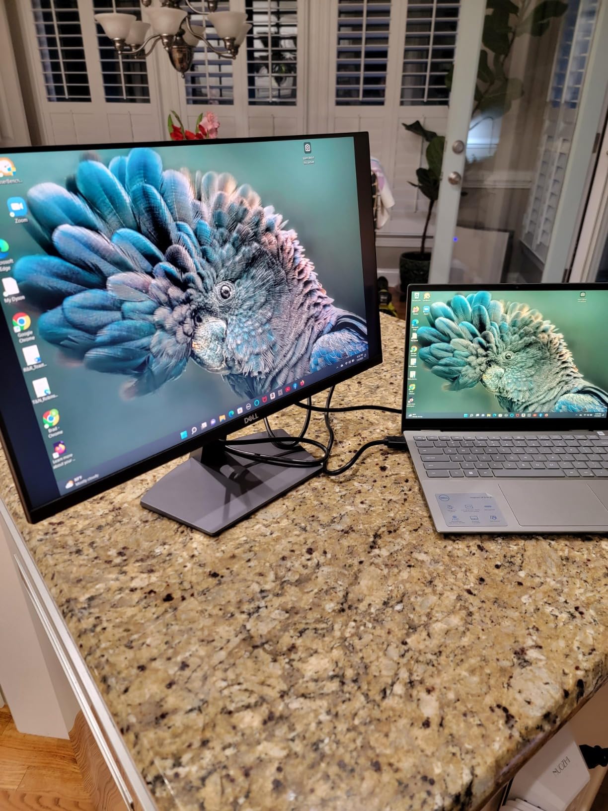 Dell SE24 Series 24