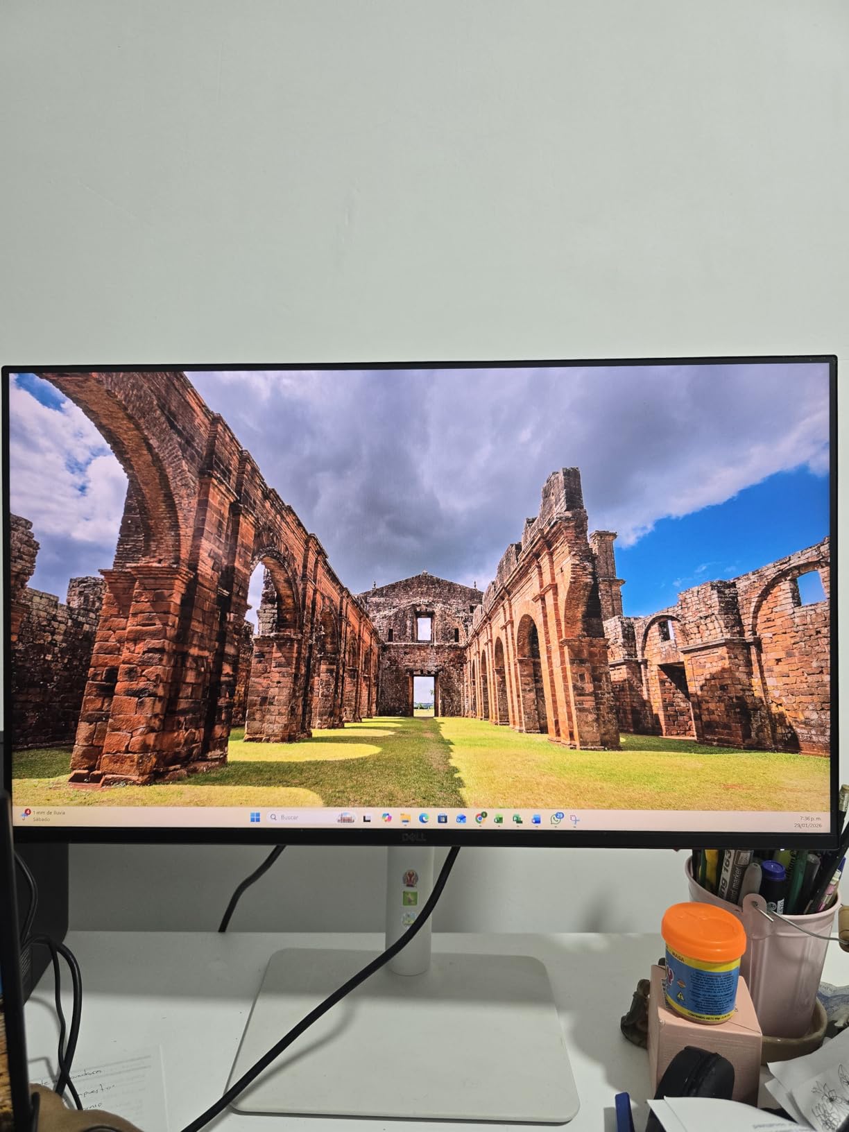 Dell SE24 Series 24