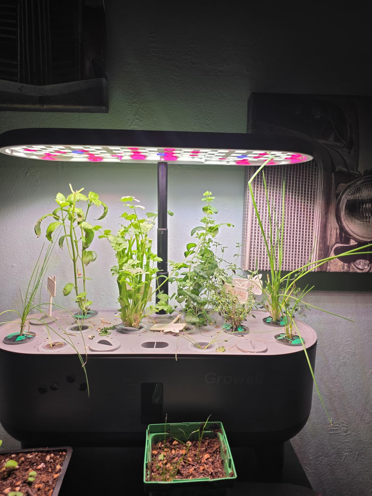 Growell Hydroponics Growing System Kit, 16 Pods Indoor Garden with 28W Full Spectrum LED Grow Light, 3 Smart Light Modes, 8L Tank customer photo 1
