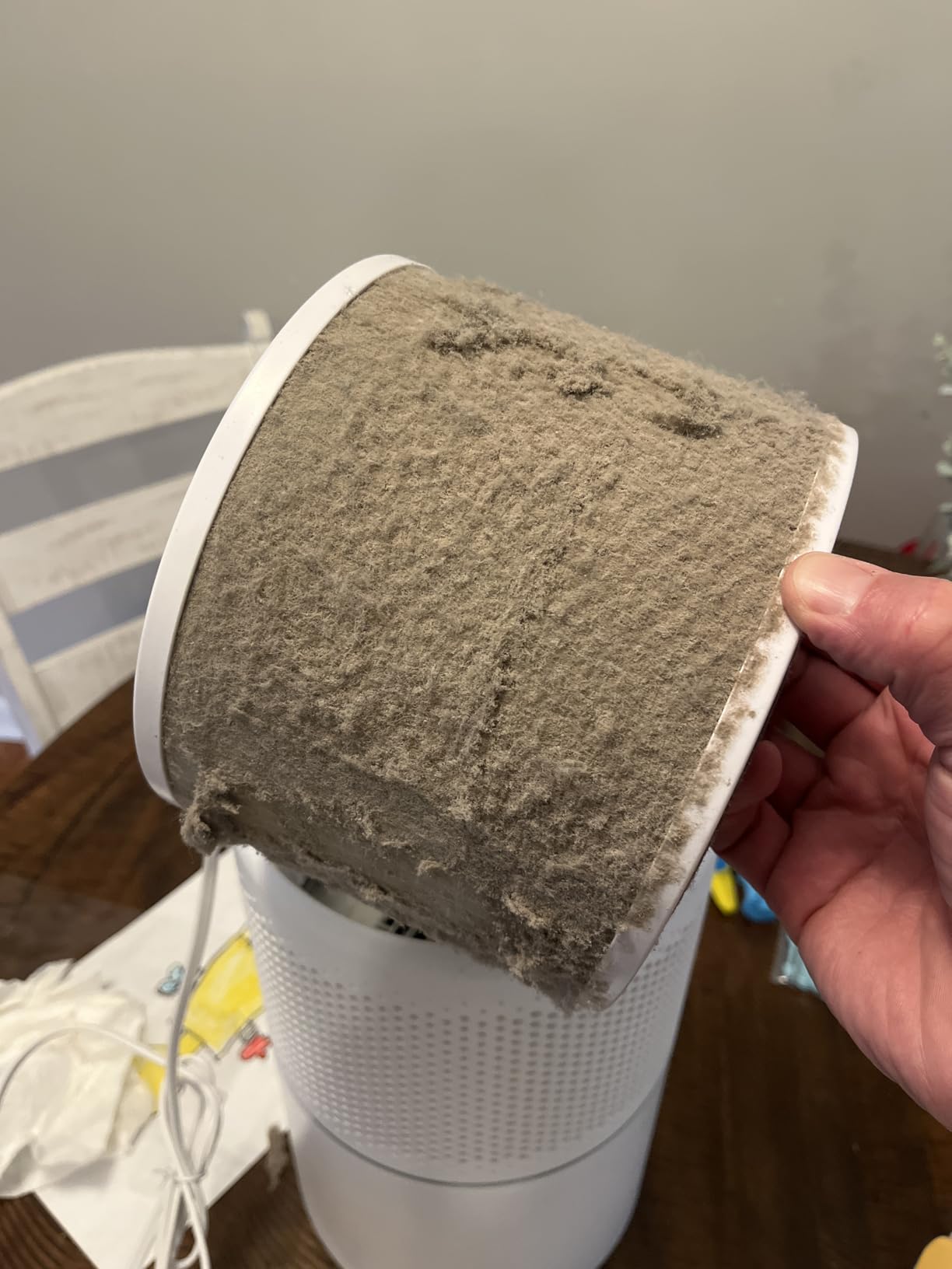 LEVOIT Air Purifiers for Home Pets Bedroom, Smart WiFi for Home Large Room | HEPA Sleep Mode, AHAM VERIFIDE, Quiet 24dB for Pet Hair, Allergens, Dust, Smoke, Pollen, Alexa Control, Core300S-P, White customer photo 1