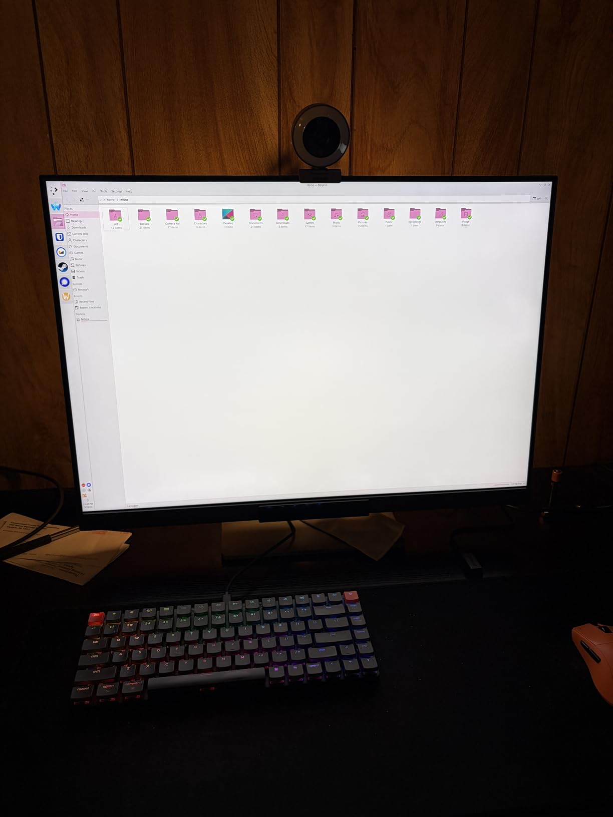 BenQ Programming Monitor RD280UG 28.2