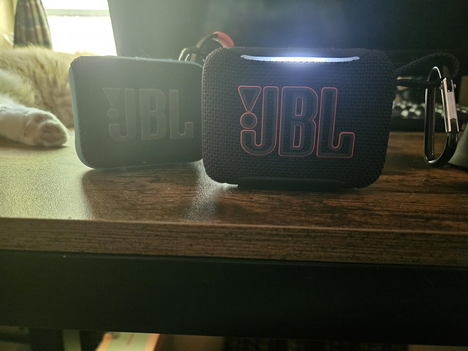 JBL Go 5 Portable Bluetooth Speaker, Waterproof and Dustproof - Teal customer photo 2