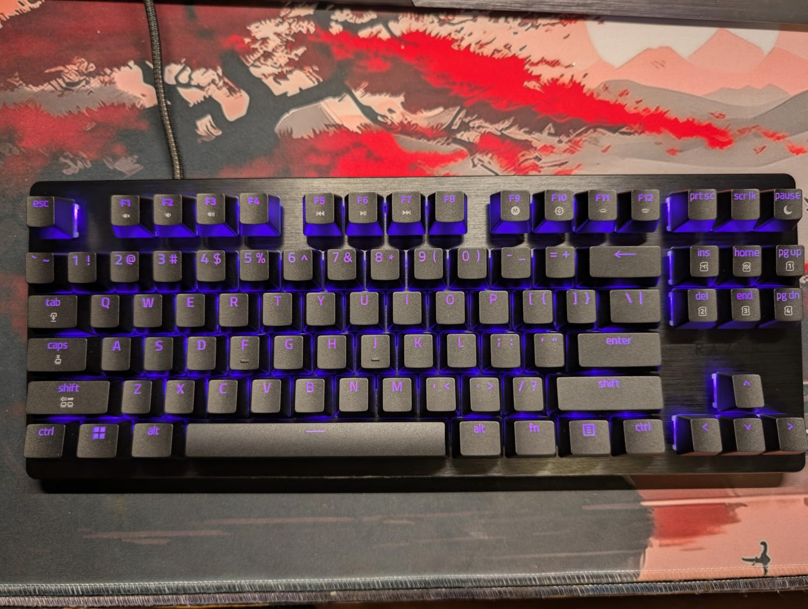 Razer Huntsman V3 HE Magnetic TKL 8KHz Wired Gaming Keyboard | Hall Effect Magnetic Switches, 8000 Hz Polling, Razer Snap Flex, Razer Snap Tap, Rapid Trigger, Adjustable Actuation customer photo 1