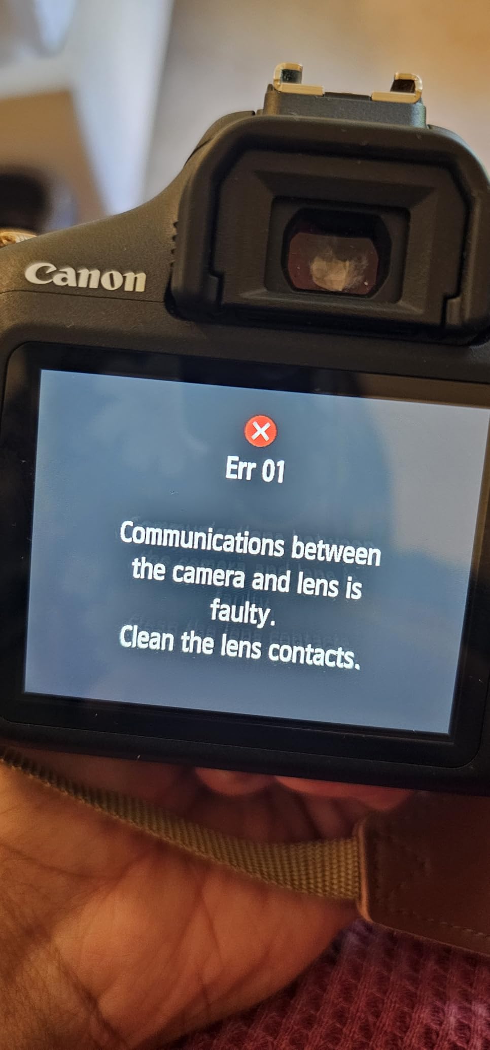 Canon EF 85mm f/1.8 USM Telephoto Lens customer photo 2