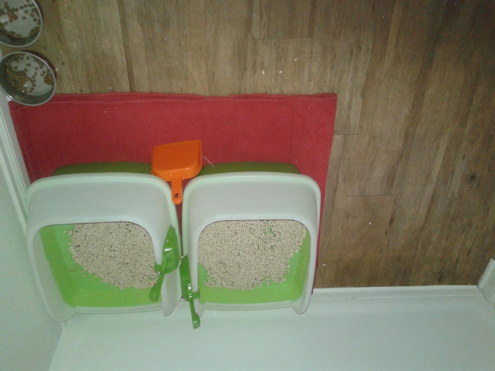 Purina Tidy Cats Breeze Cat Litter Box System Kit with Pellets & Pads customer photo 1