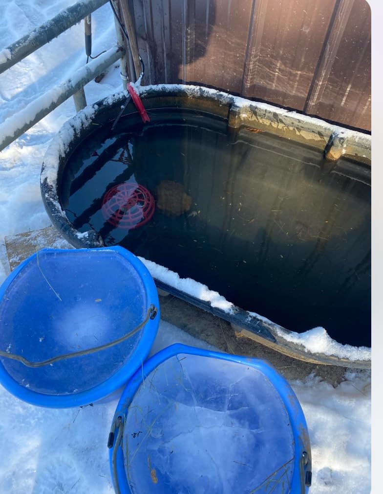 K&H Bucket Heater, Ultimate Pail Deicer, Safety Listed, 250W, Red customer photo 2