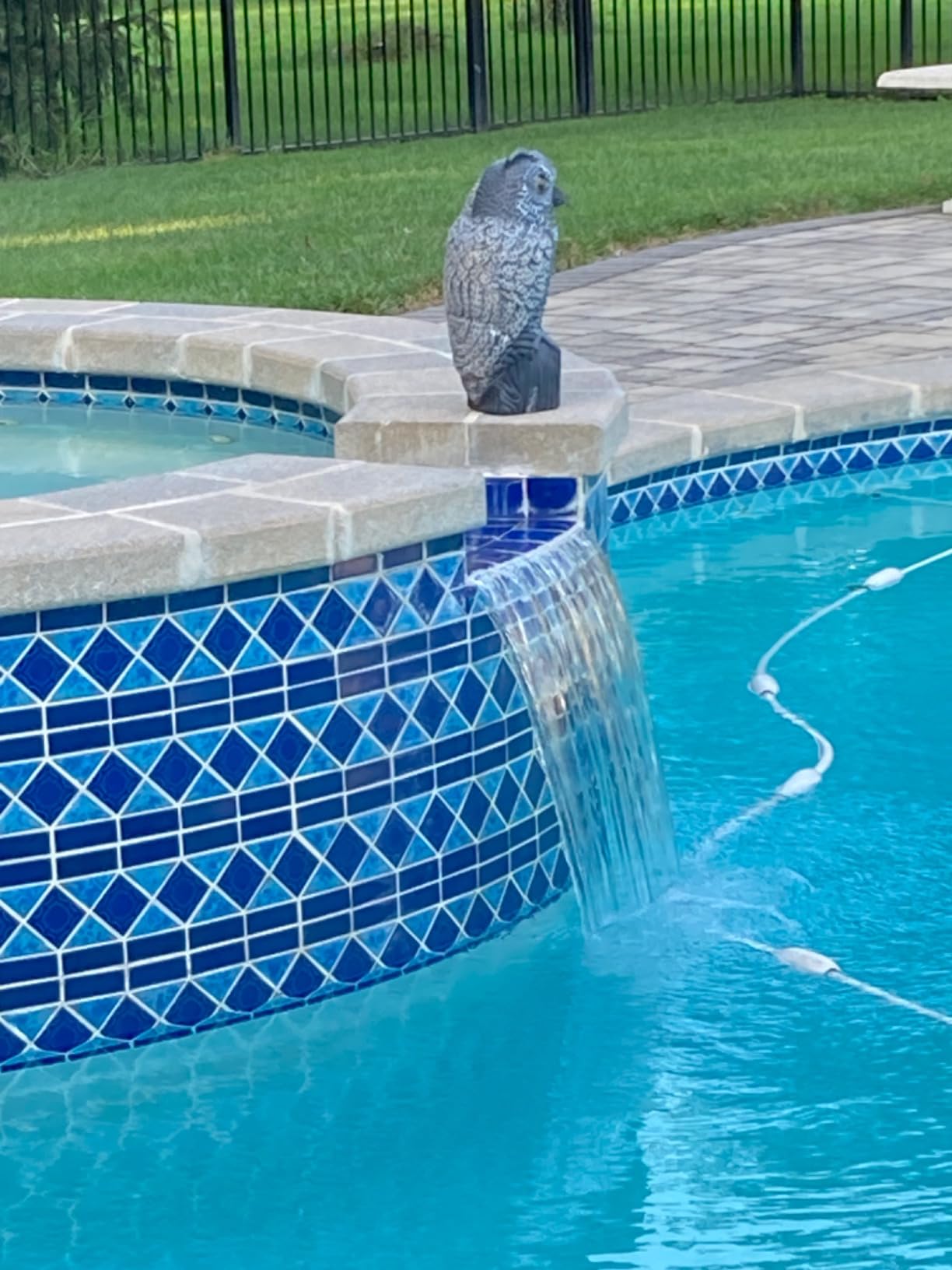 AquaChek Salt Test Strip Titrators for Pools - Salt Water Pool Test Strips for Sodium Chloride - Quick and Accurate Results - Professional Water Quality Testing Kit (10 Strips) customer photo 1