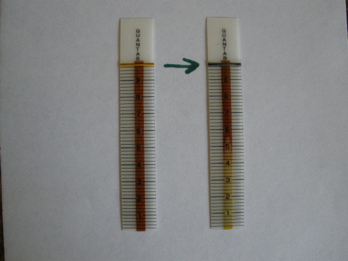 AquaChek Salt Test Strip Titrators for Pools - Salt Water Pool Test Strips for Sodium Chloride - Quick and Accurate Results - Professional Water Quality Testing Kit (10 Strips) customer photo 2