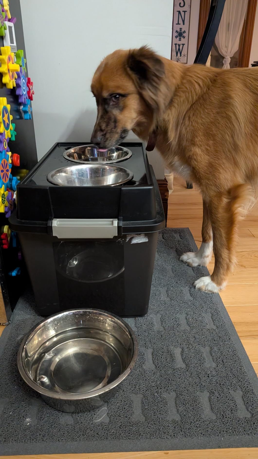 IRIS USA Elevated Dog Bowls 15