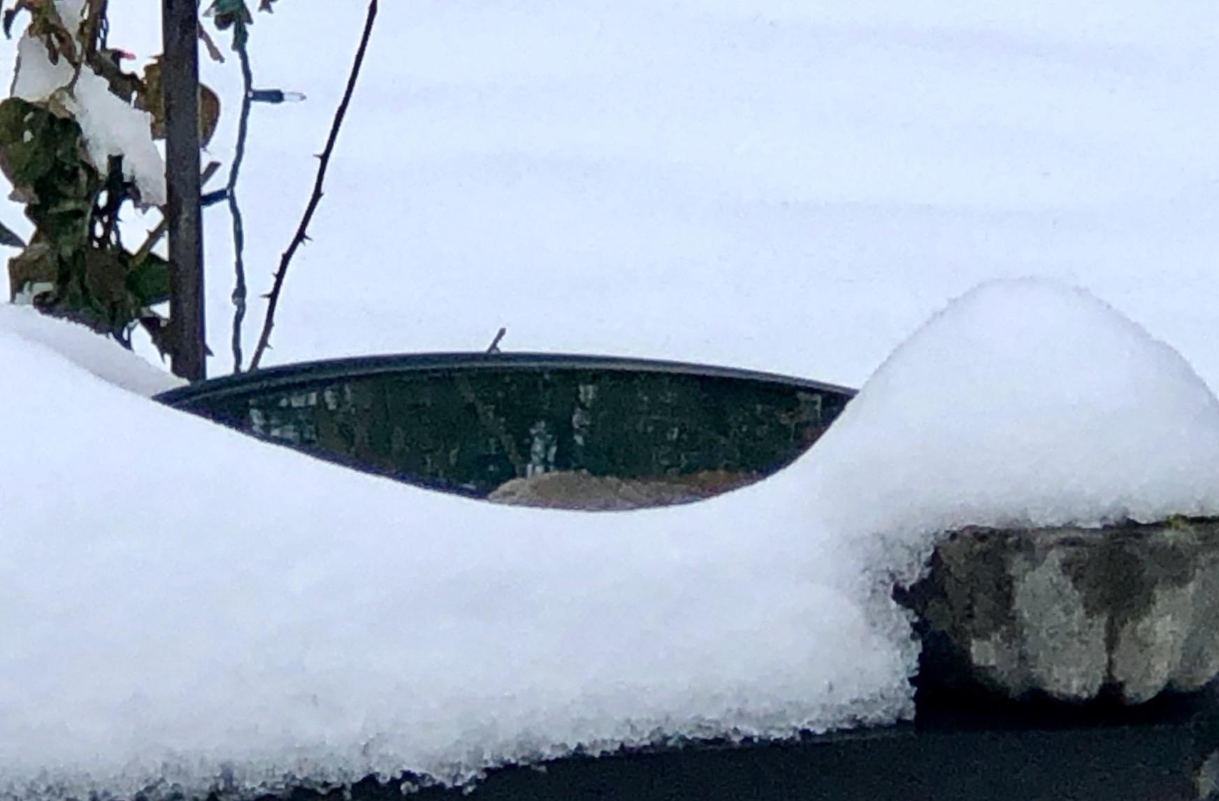 Farm Innovators BD-75 All Seasons 3 in 1 Outdoor 14 Inch Heated Birdbath with 3 Mounting Options, 75 Watts, Terracotta customer photo 1