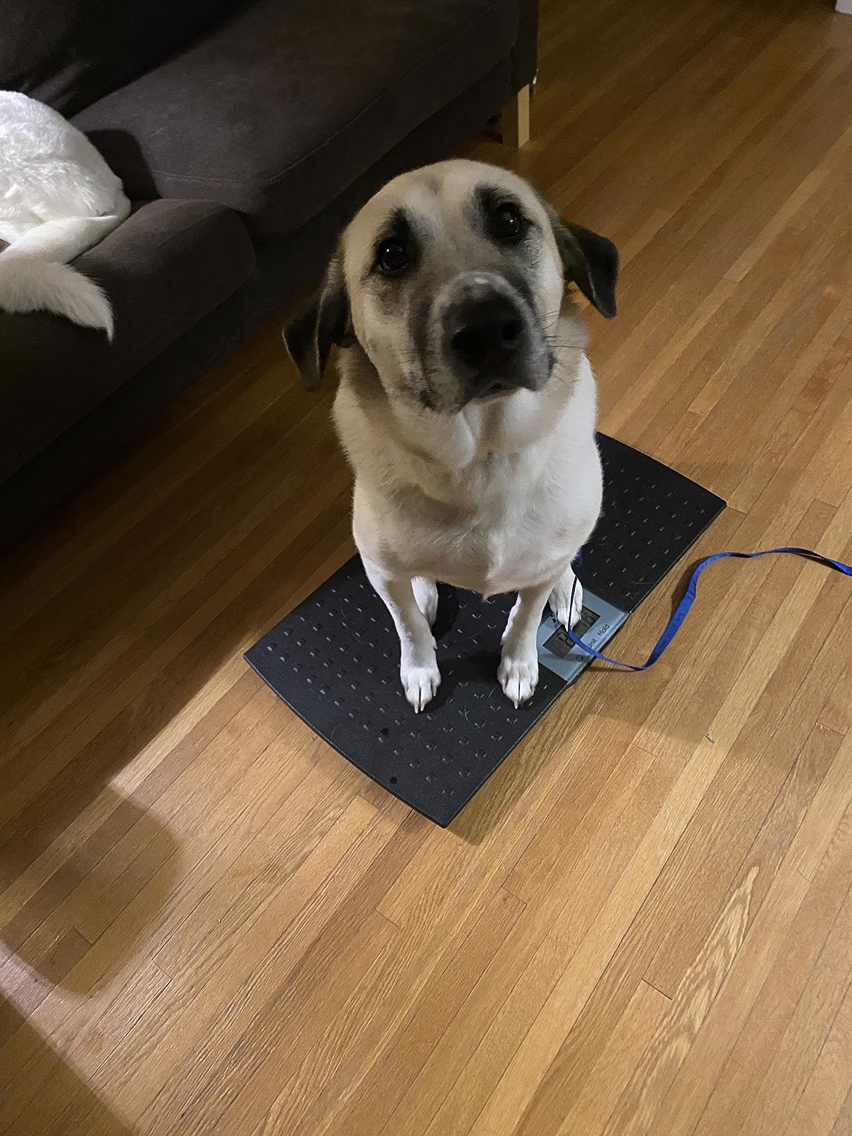 Redmon Precision Digital Pet Scale for Large Animals with Non-Skid Mat, 225lb Capacity customer photo 2