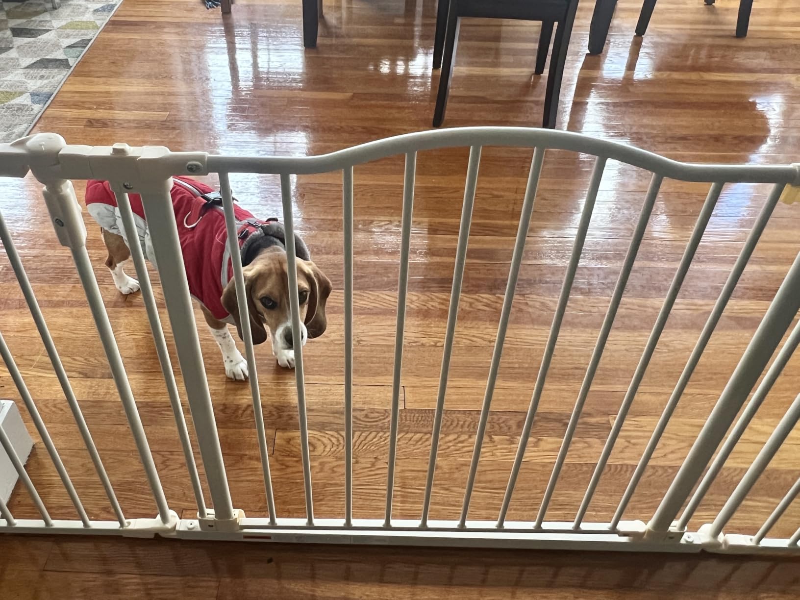 Toddleroo by North States - Deluxe Décor Safety Gate: Hardware Mounted Extra Wide Metal Baby Gate - Adjustable Child Gate - 38.3 to 72 Inches Wide - 30 Inches Tall - Matte Bronze customer photo 2