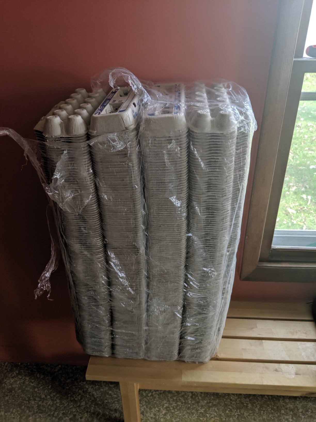 Egg Cartons – 250 Bulk Pack customer photo 1