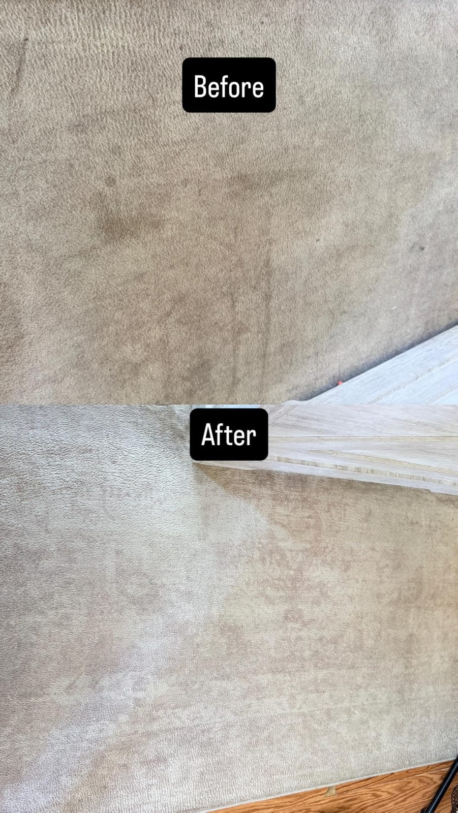 Bissell DeepClean + Refresh with Febreze Freshness Spring & Renewal Formula, 1052A, 60 Ounces customer photo 2