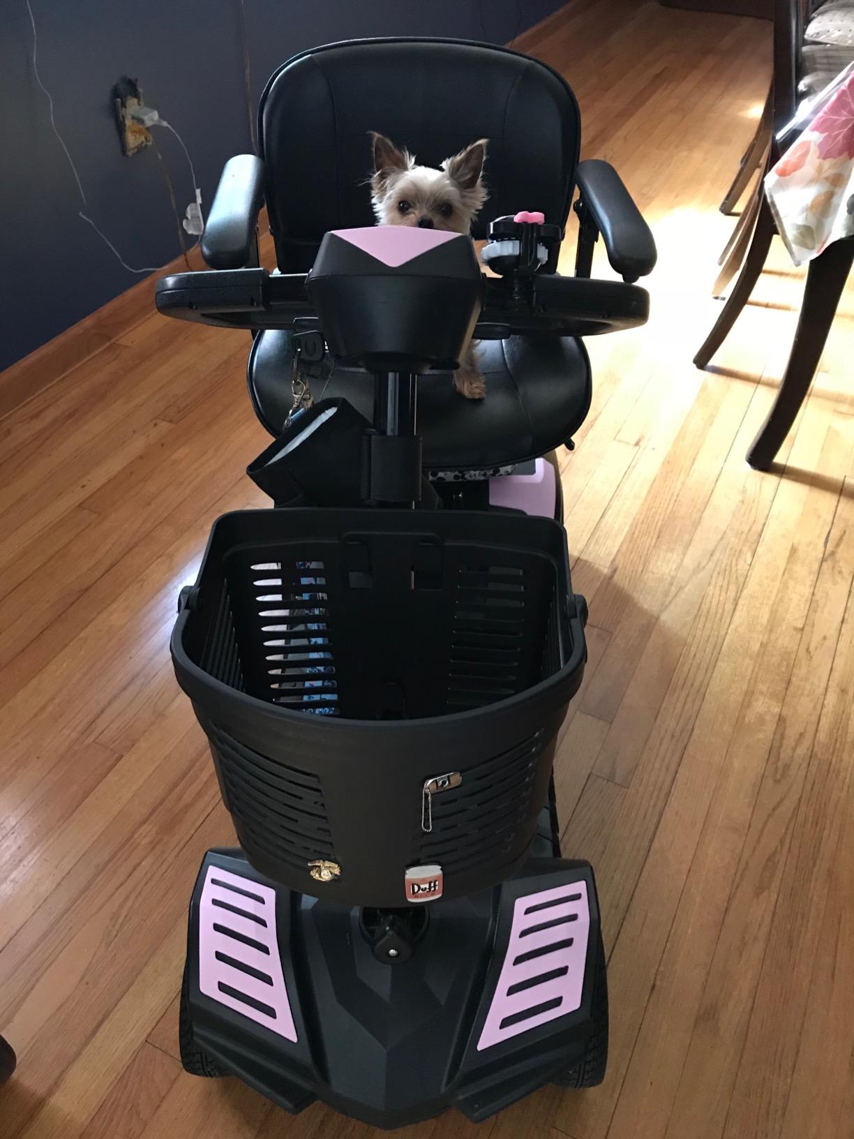 Drive Medical Scout Compact Travel Power Scooter, 4 Wheel Design customer photo 2