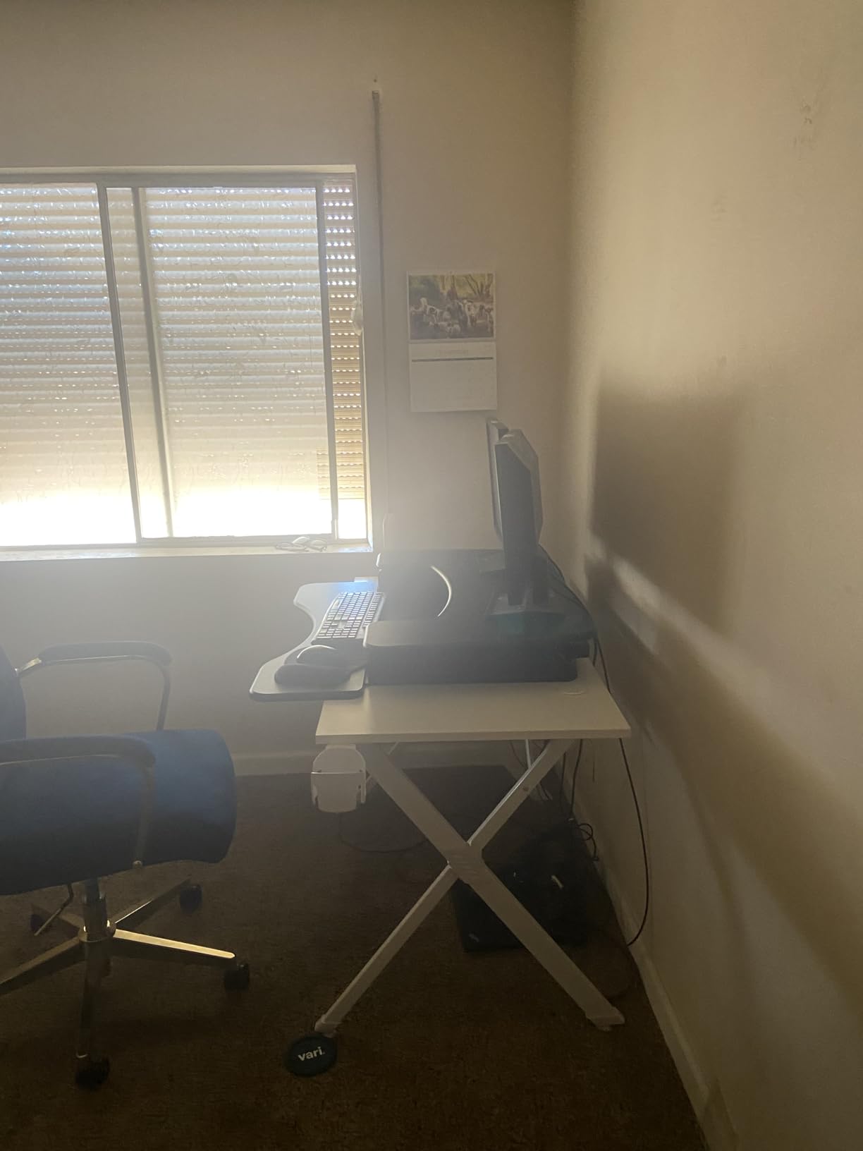Vari VariDesk Pro Plus 36 - Adjustable Desk Converter with 11 Height Settings - Laptop Sit Stand Desk Riser for Home Office, Table Tops, Workspace - Fully Assembled with Spring Loaded Lift - Black customer photo 1