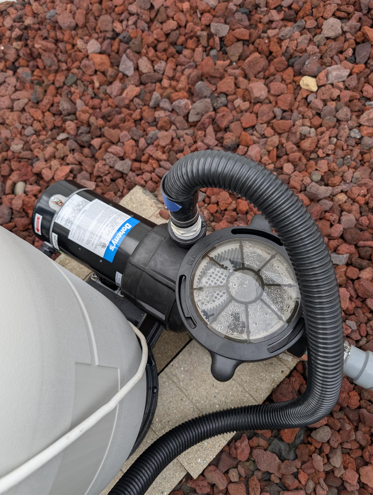 Doheny's 1 HP Above Ground Swimming Pool Pump, 115V, 75 GPM customer photo 1