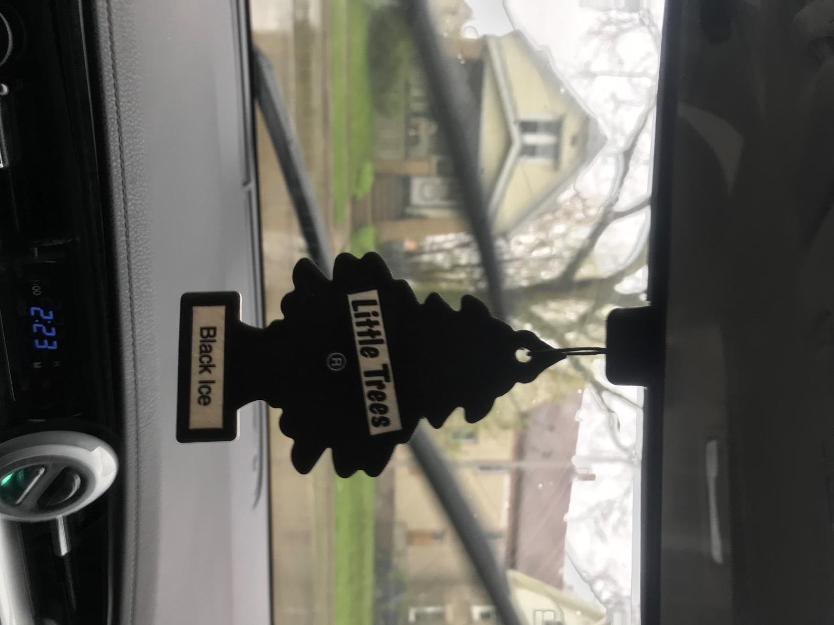 LITTLE TREES Car Air Freshener | Hanging Tree Provides Long Lasting Scent for Auto and Home | Black Ice, 24 Air Fresheners customer photo 2